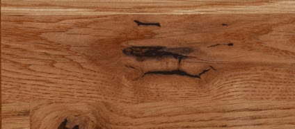 Arbeitsplatten für Ihre Küche in Dresden 19 Holzart Eiche astig für Massivholz-Arbeitsplatten von Wagner und Schönherr